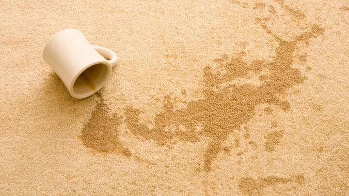 A spilled drink soaking into carpet before a Chem-Dry clean in Moss Vale